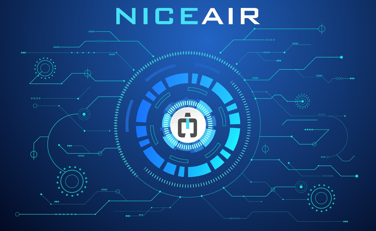 Niceair Banner